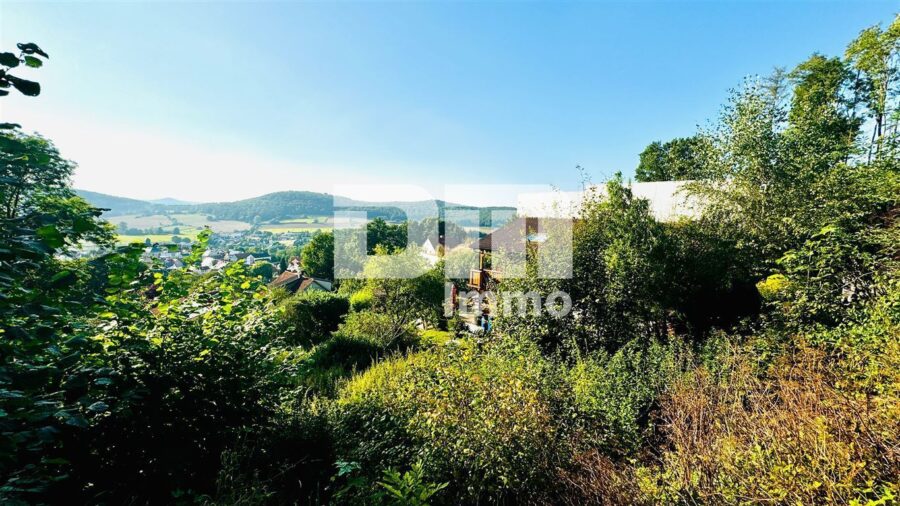 Traumhaft schönes Grundstück in hervorragender Wohnlage mit Panoramablick - Panorama